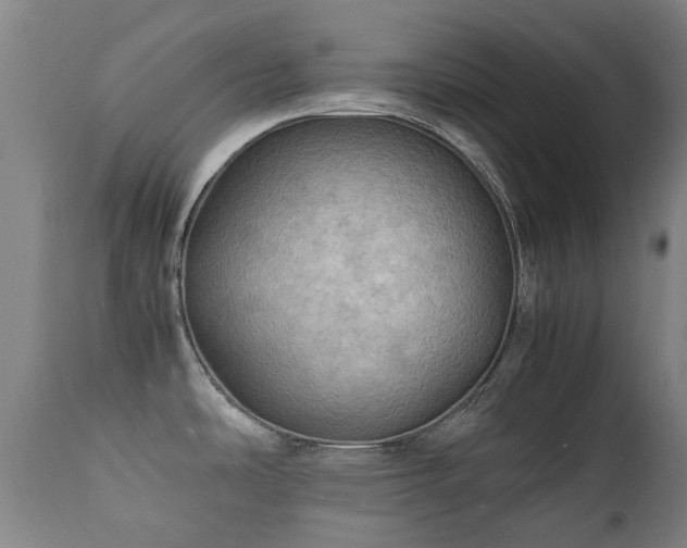 X0000112411486200908211109