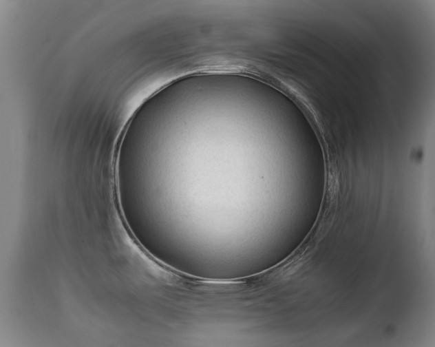 X0000112411487200908211109