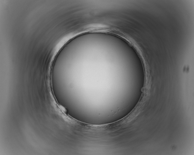 X0000112411488200908211109