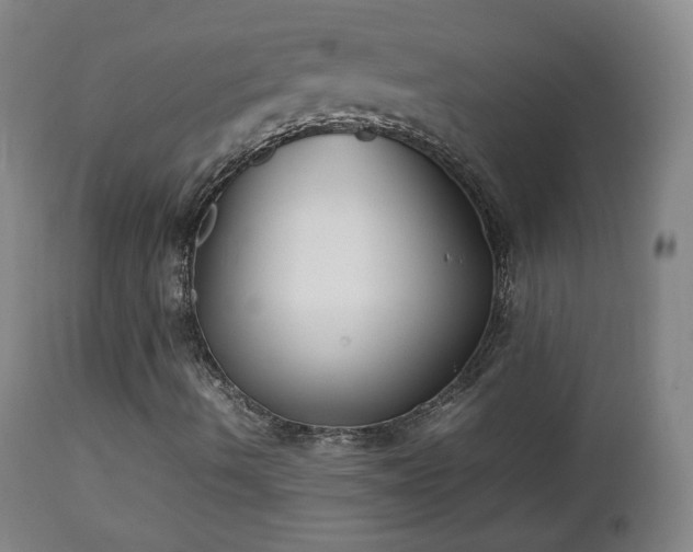 X0000112411490200908211109