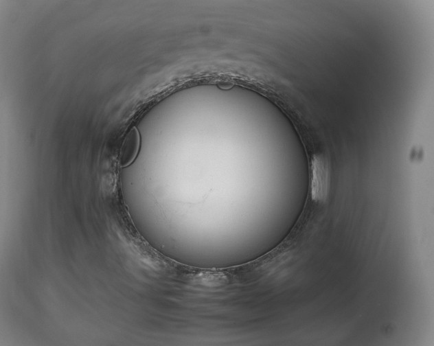 X0000112411491200908211109