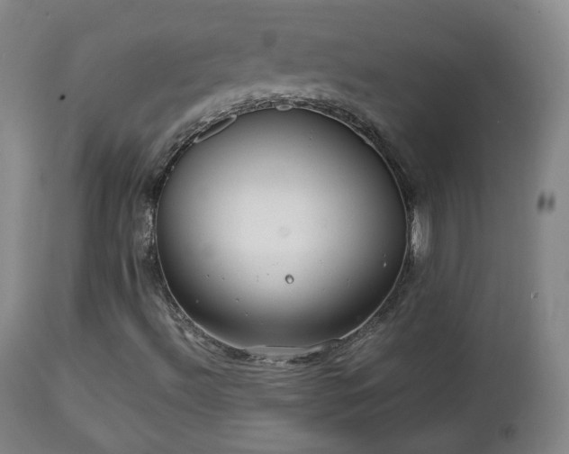 X0000112411492200908211109