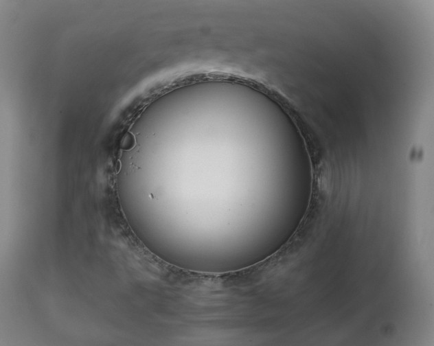 X0000112411495200908211109