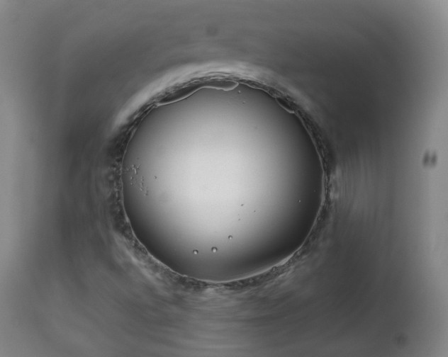 X0000112411496200908211109