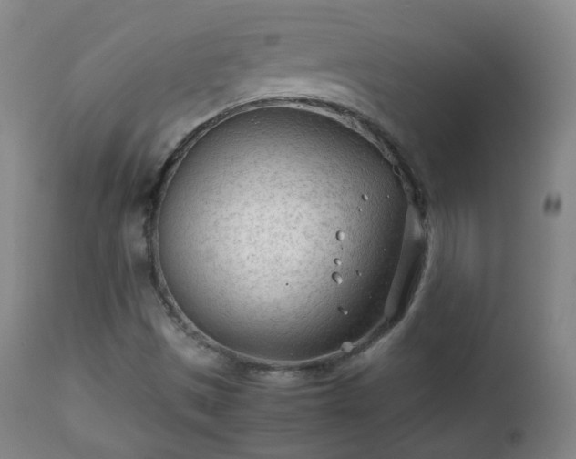 X0000112411497200908211109