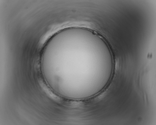 X0000112411498200908211109