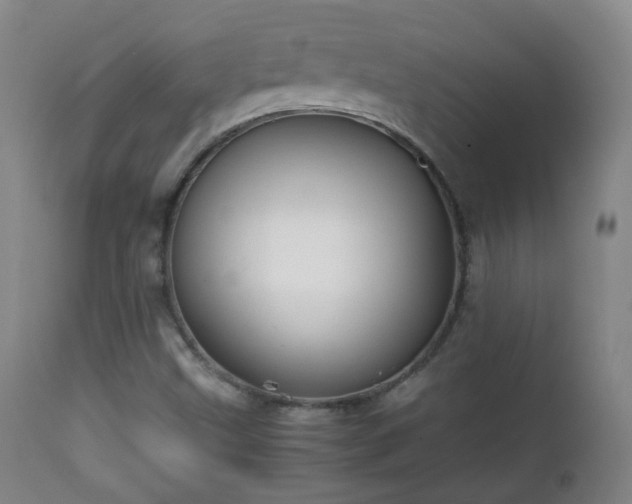 X0000112411499200908211109