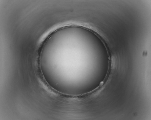 X0000112411502200908211109