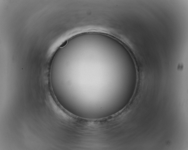 X0000112411504200908211109