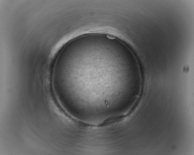 X0000112411506200908211109
