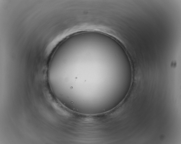 X0000112411507200908211109