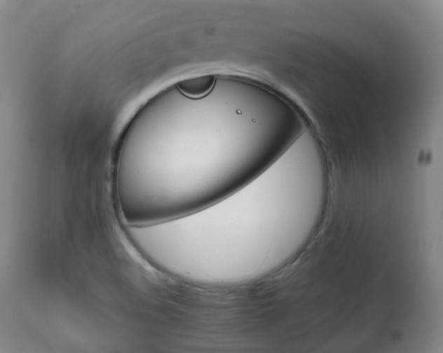 X0000112411508200908211109