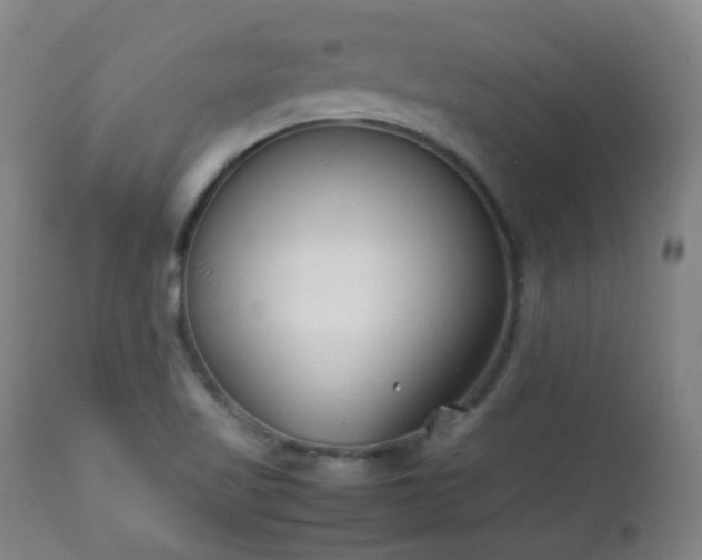 X0000112411509200908211109