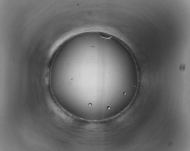 X0000112411510200908211109