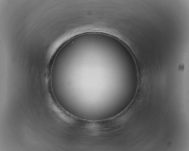 X0000112411511200908211109