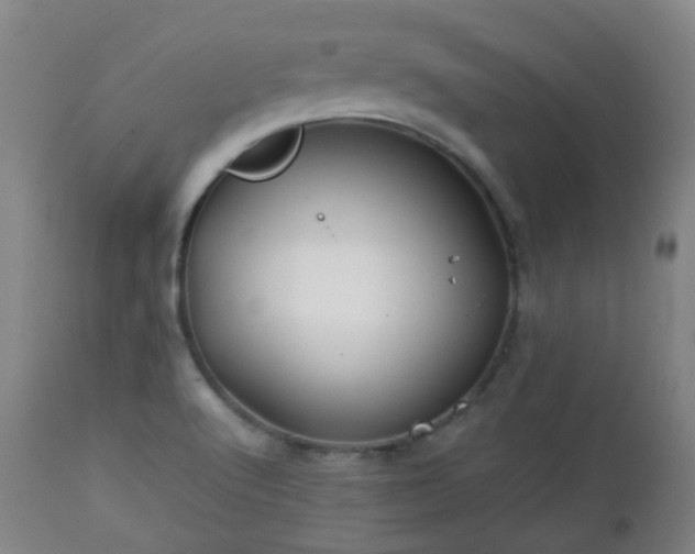 X0000112411512200908211109