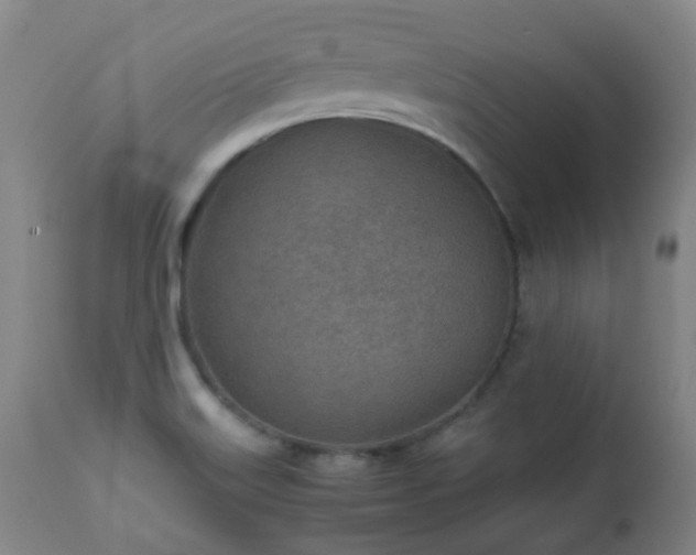 X0000112411515200908211109