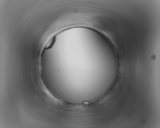 X0000112411516200908211109
