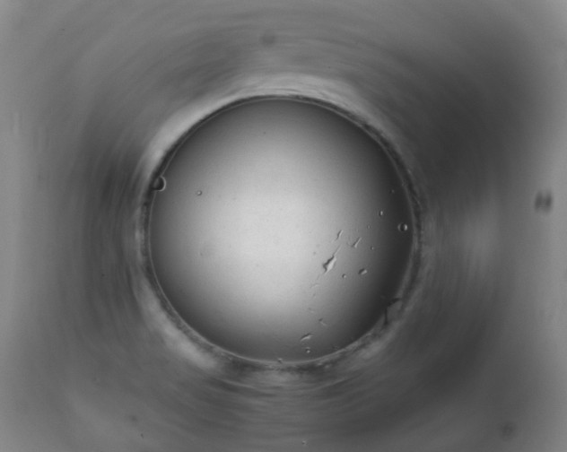 X0000112411517200908211109