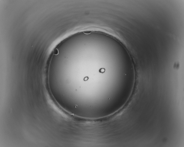 X0000112411518200908211109
