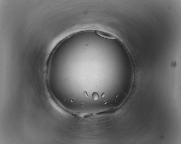 X0000112411519200908211109