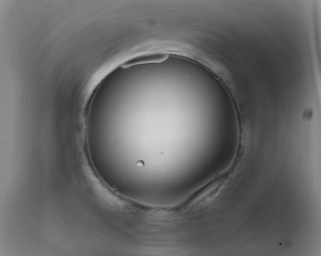 X0000112411520200908211109