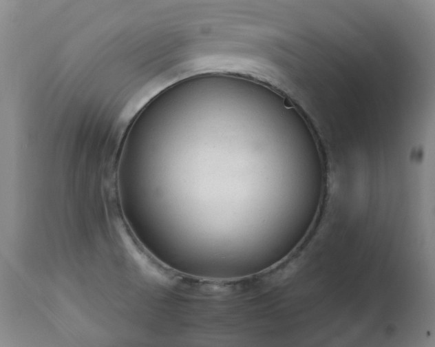 X0000112411521200908211109