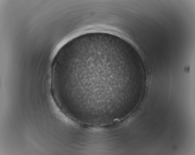 X0000112411522200908211109