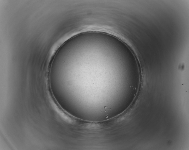 X0000112411525200908211109
