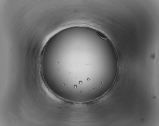 X0000112411526200908211109