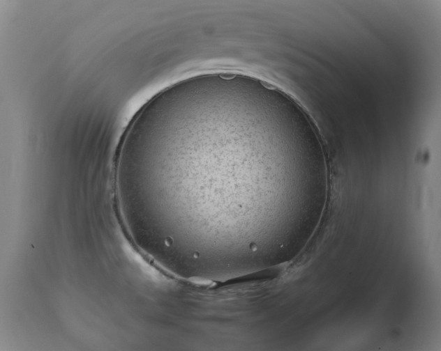 X0000112411527200908211109