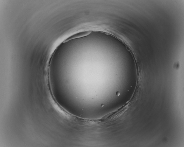 X0000112411528200908211109