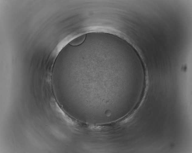 X0000112411529200908211109