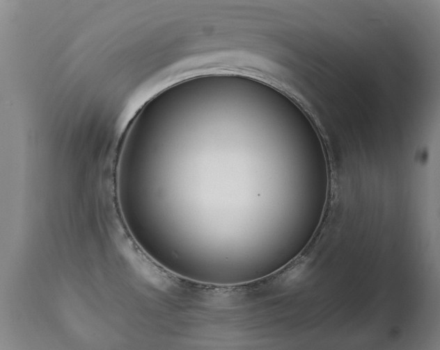 X0000112411530200908211109