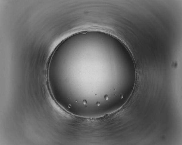X0000112411531200908211109