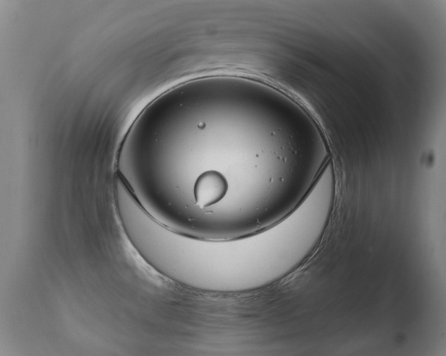 X0000112411532200908211109