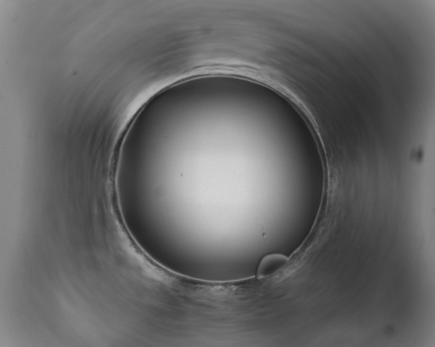 X0000112411533200908211109