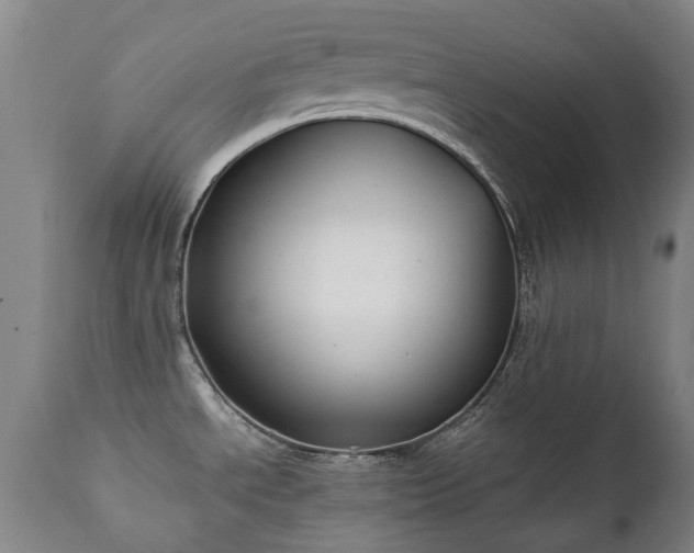 X0000112411534200908211109