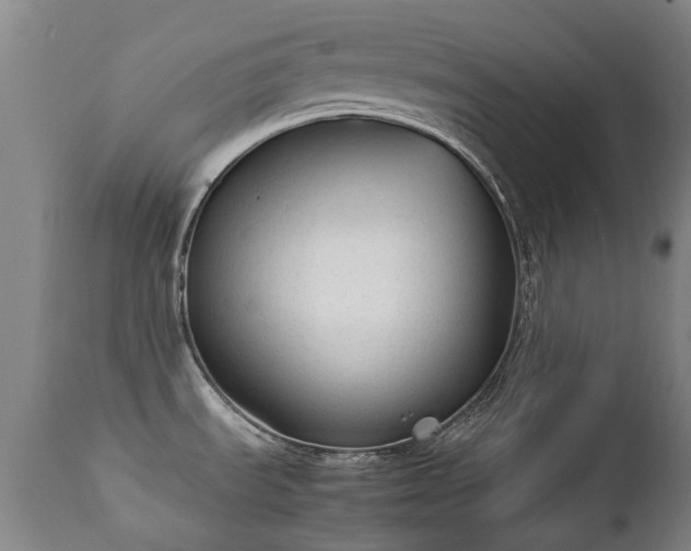 X0000112411535200908211109