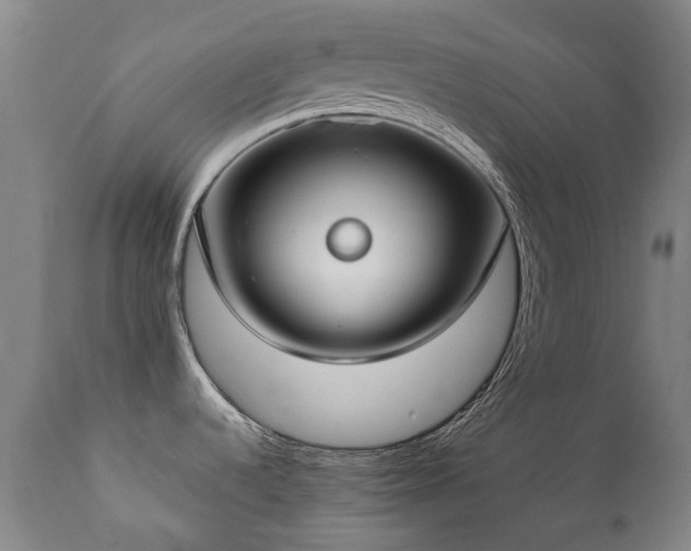 X0000112411536200908211109