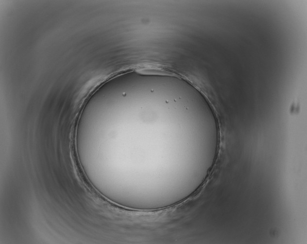 X0000112410001200908281825