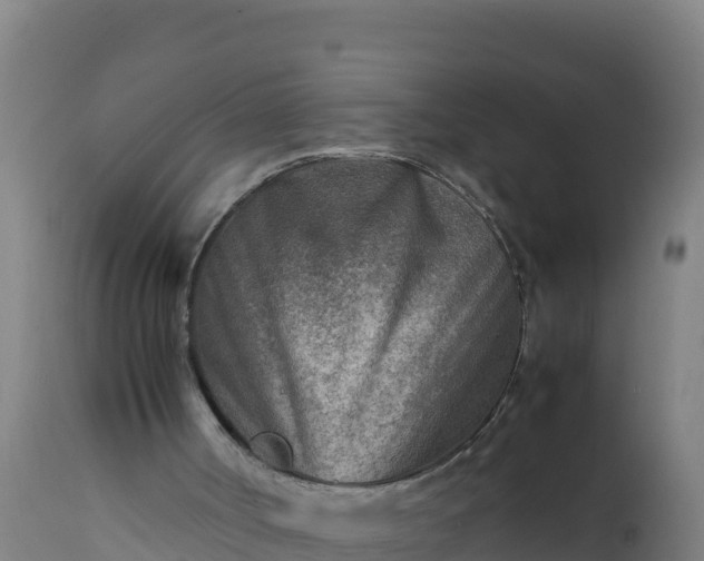 X0000112410002200908281825