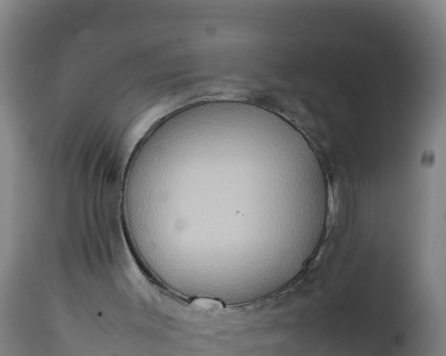 X0000112410003200908281825