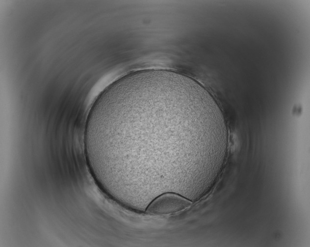 X0000112410004200908281825