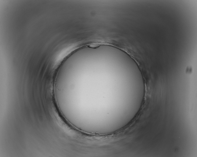 X0000112410005200908281825