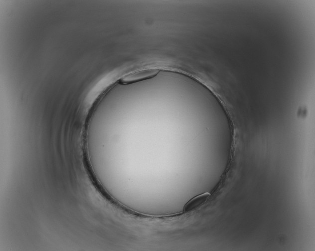 X0000112410007200908281825