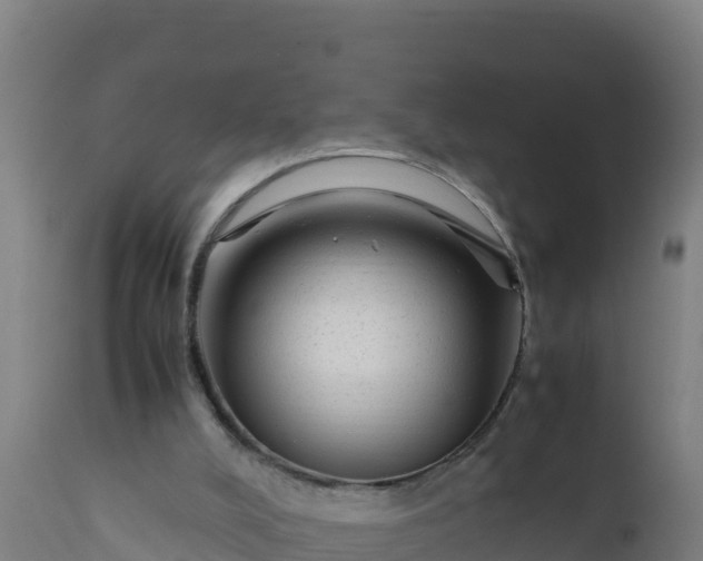 X0000112410008200908281825