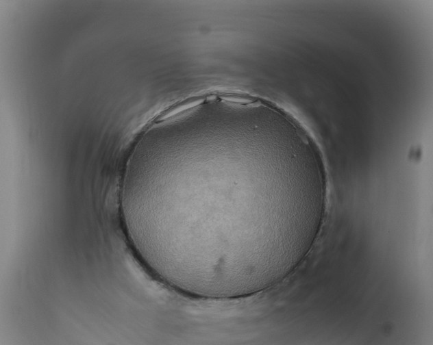 X0000112410009200908281825