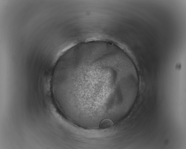 X0000112410010200908281825