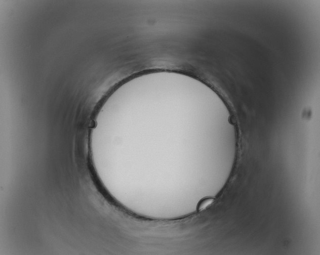 X0000112410011200908281825